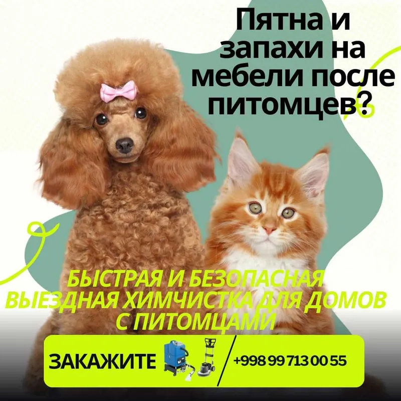 Шерсть, пятна и запахи от питомцев? Закажите Выездную Химчистку на дом