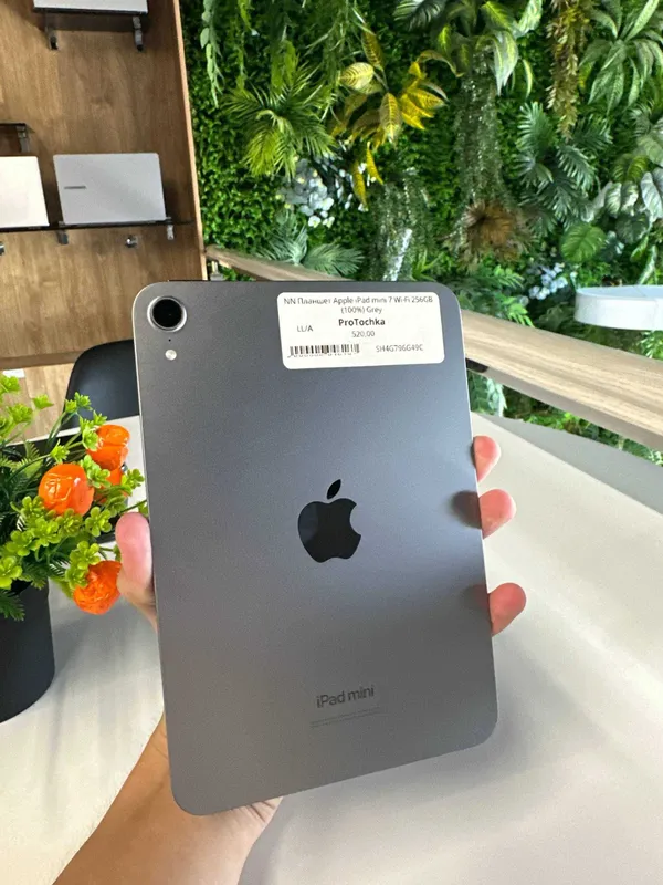 iPad mini 7 256gb wi-fi 100% 1