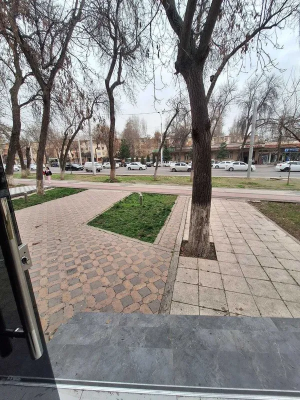 Нотурар офис(ofis) ижарага арендага берилади 60м2 Чилонзор 11 квартал 4 Нотурар офис(ofis) ижарага арендага берилади 60м2 Чилонзор 11 квартал 4