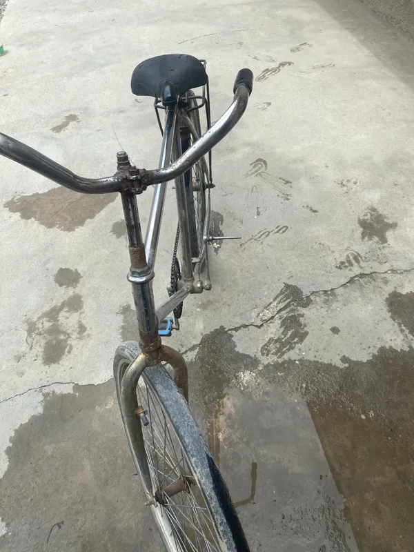 Velosopet yili 2025