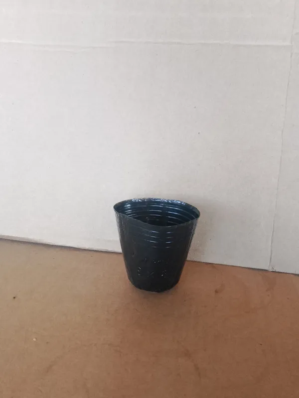 Kalish stakanchik razmeri 8x8 12x13 15x15 18x18 razmeri bor optm narxd