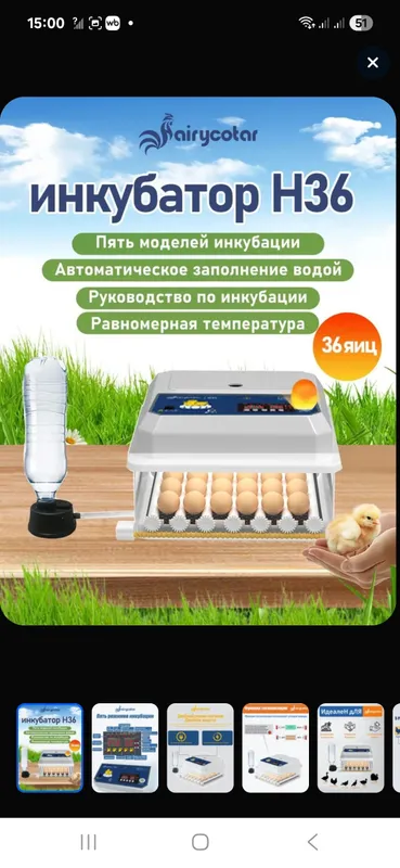 инкубатор автоматический