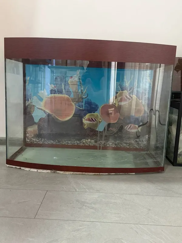 Продается аквариум !!!