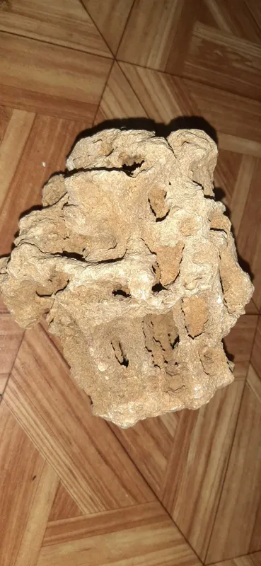 Уникальный исторический камень со дна моря 2 Уникальный исторический камень со дна моря 2