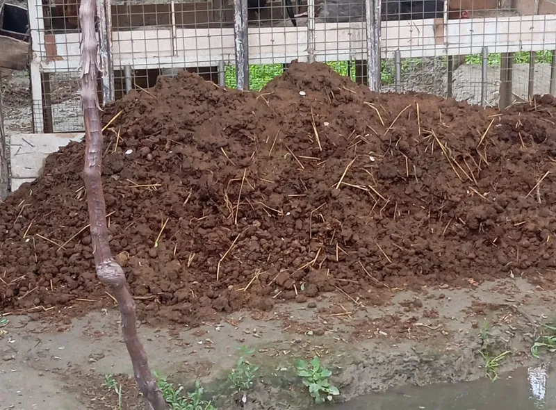 Poru gung ugit moldiki bepul beraman kimga kk bulsa kelib opketsin 1 Poru gung ugit moldiki bepul beraman kimga kk bulsa kelib opketsin 1