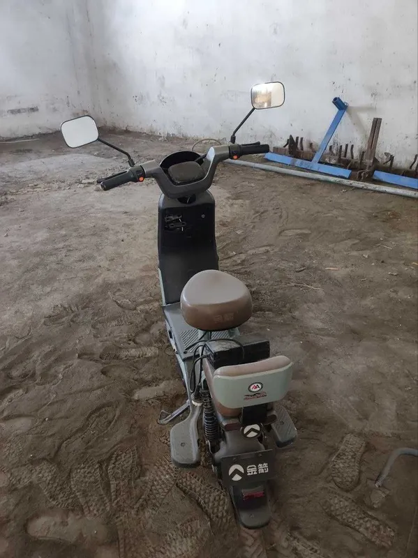 ARMADA CAROW electric scooter 2