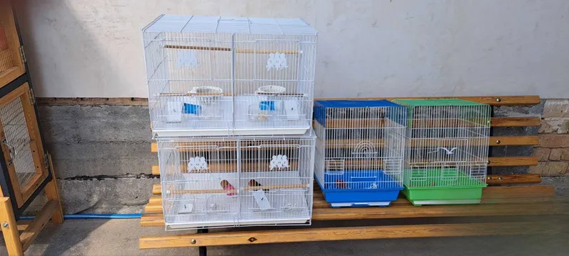 Qush qafaslari sotiladi. 2 Qush qafaslari sotiladi. 2