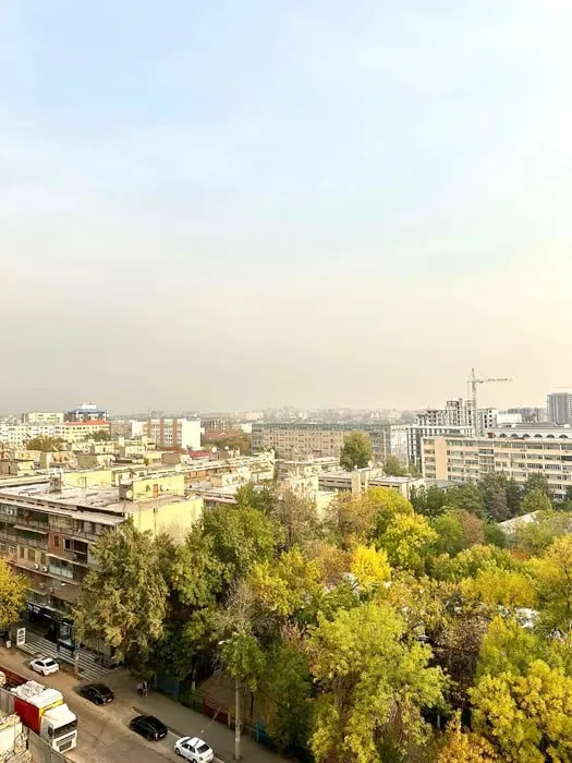 2-х комнатная в Акай Сити Мирзо-Улугбек — фото 9
