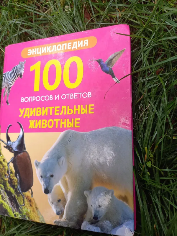 Энциклопедия, от которой не оторваться! (Для юных исследователей