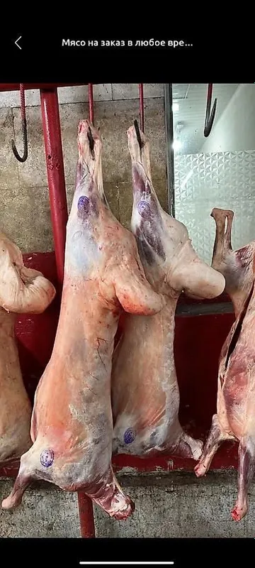 Qoy goshti va boshqa gosht mahsulotlari