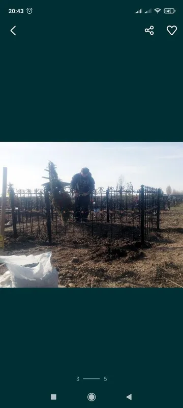 решетки на окна derazalardagi panjaralar — фото 4