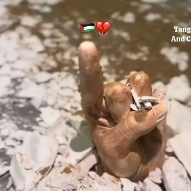 Куй юнгини олиш хизмати келишилган нархда — фото 5