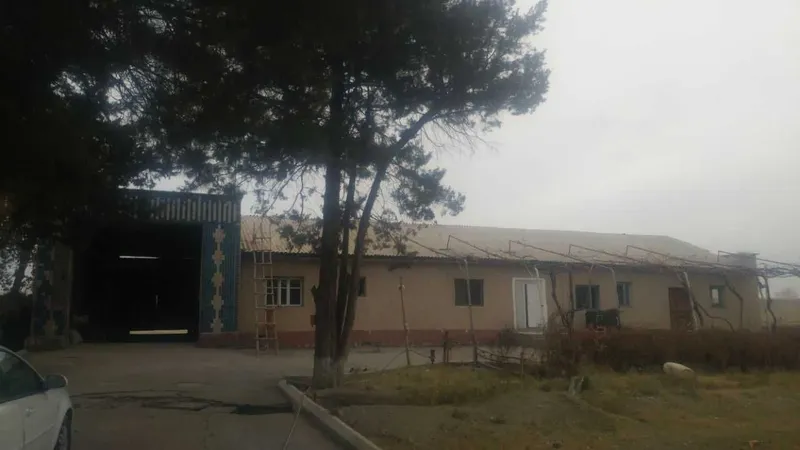 Продается ферма с земельным участком 28,3 га. Окадре 6 км от Лоиша — фото 5