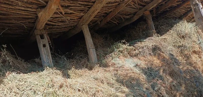 Качественное сено из люцерны по низкой цене 4 Качественное сено из люцерны по низкой цене 4
