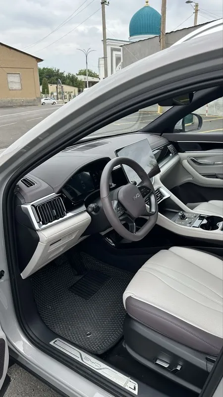 Byd chemion smart — фото 2