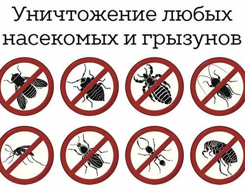 Дезенфекция дизенфек дезинфекция дизинфекция dezinfeksiya klapa klopa