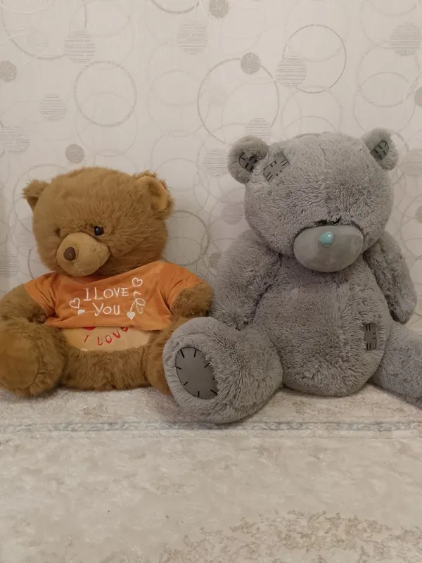 har biri 100mingdan alo holatda teddy ayiqlari