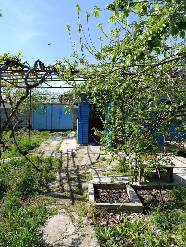 Навоий шахрмда ХОВЛИ. — фото 2