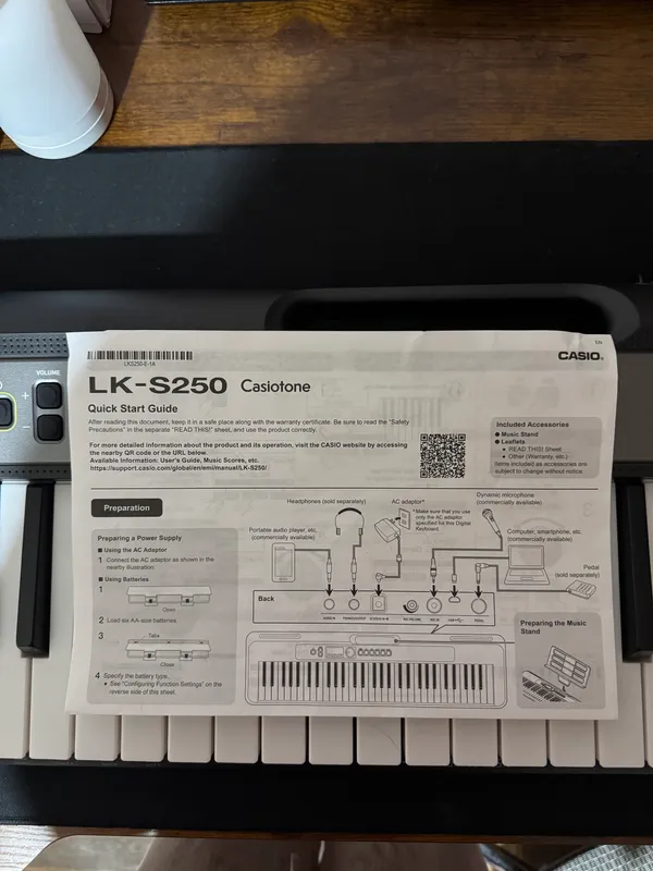 LK-S250 Casiotone sintezatorini sotaman 2