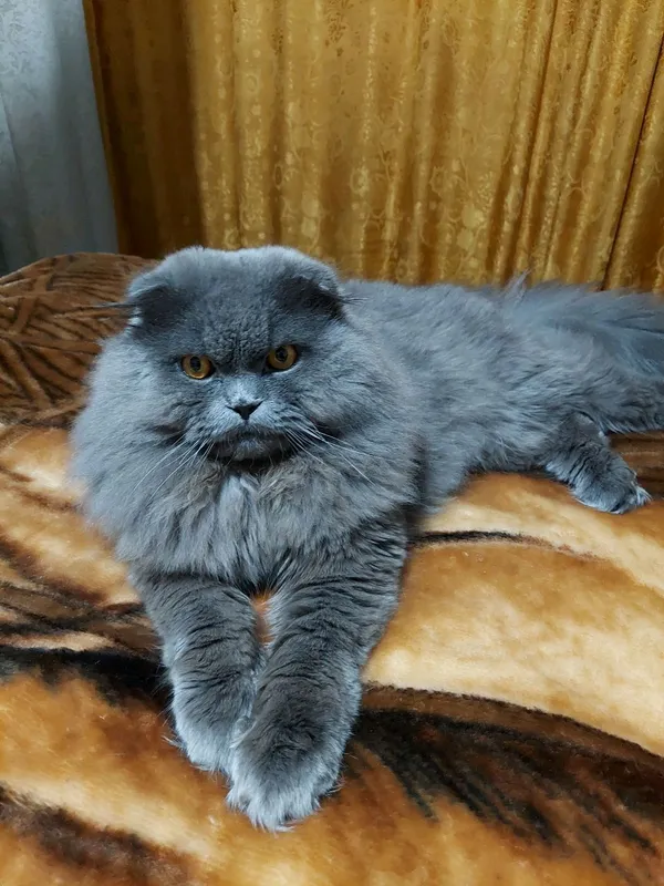 Вязка — фото 1