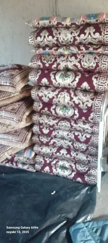 Tayor kurpachalar