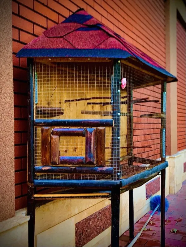 Срочно продается большая клетка с хорошим дизайном — фото 2