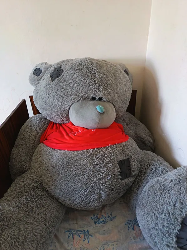 Yumshoq O'yinchoq katta Teddy ayiq