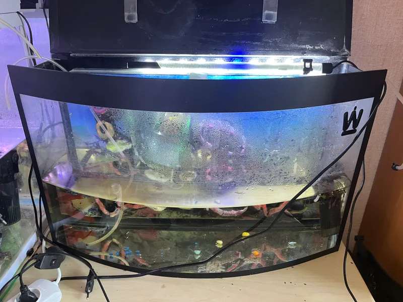 50 litrli akvarium sotaman 1