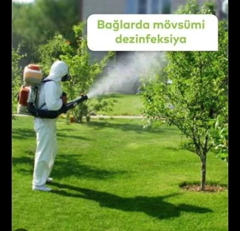 Dorilash xizmati, bog'lar va landshaft dorilash 2 Dorilash xizmati, bog'lar va landshaft dorilash 2