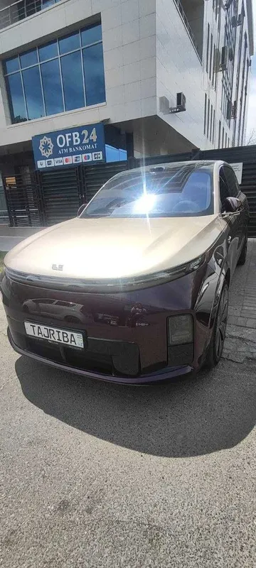 Lixiang L9 Livis