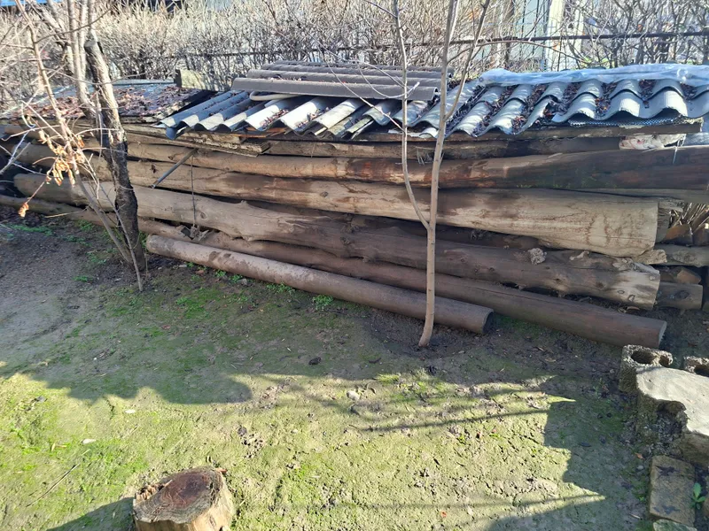 tosin archa srochniy sotiladi