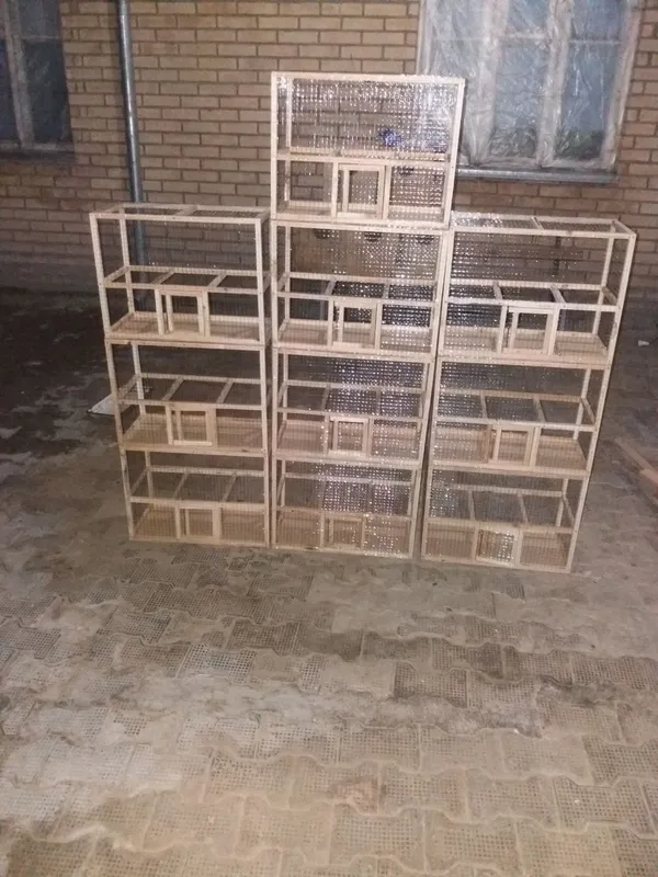 Кафас клетка сотилади