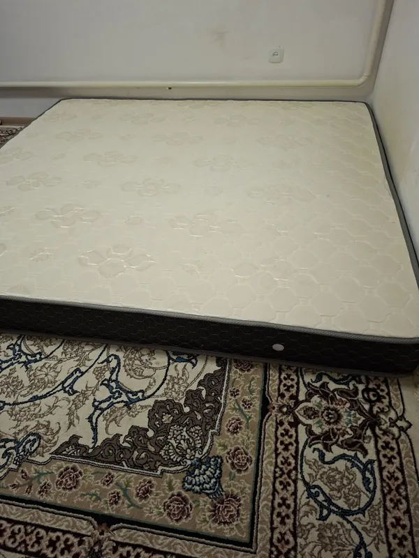 Matras. Toshak. Kravat 1