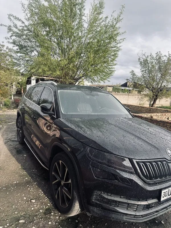 Skoda Kodiaq (4x4) 2