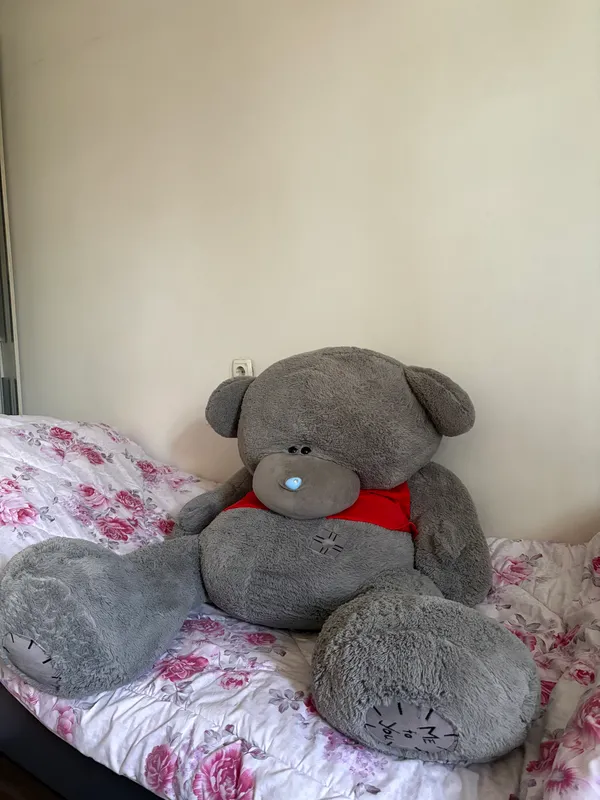 Teddy ayiq