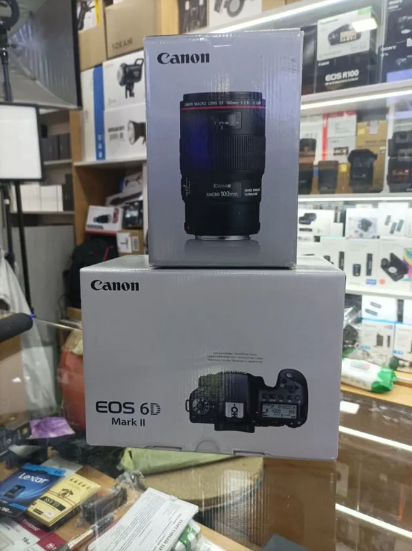 Canon 6 D mark II / Canon EF 100 mm F 2.8