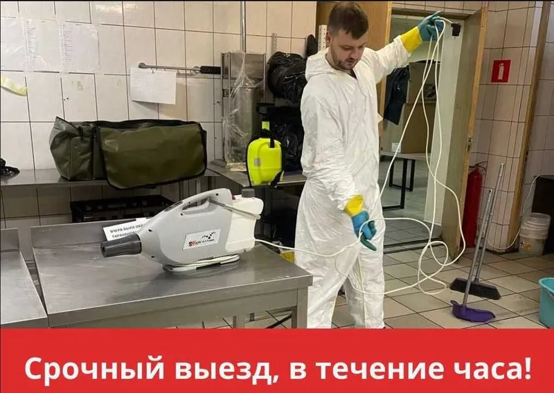 Дезинфекция от клопов тараканов крыс мышей скорпионов ос мух блох — фото 2