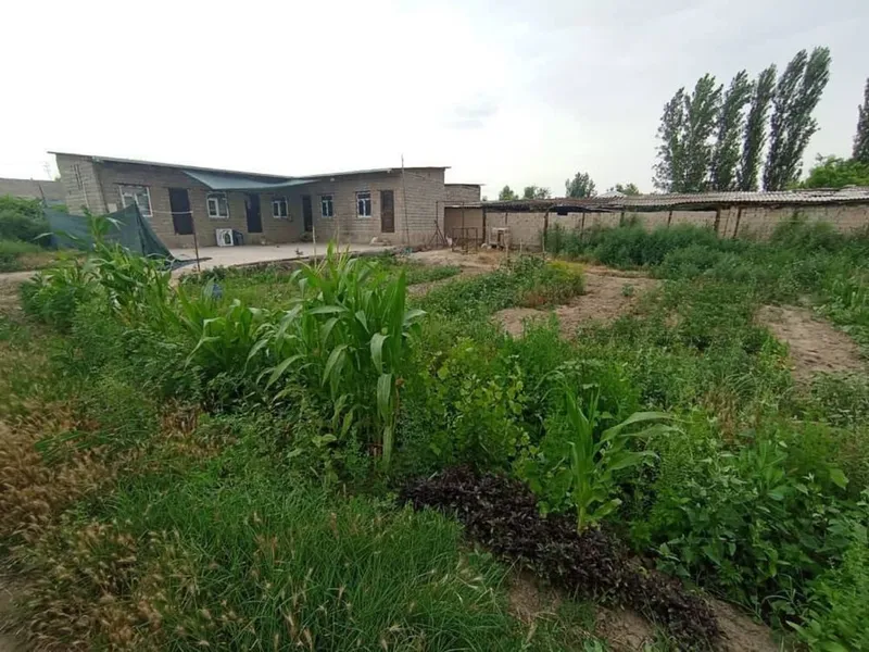 продается дом в гулистане 1