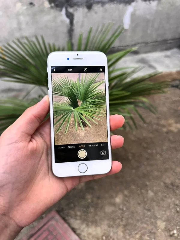 сотилади — фото 3