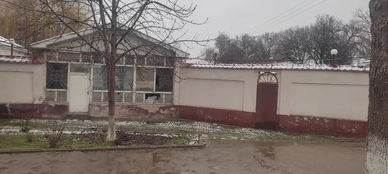 Toshkent viloyati Oqqorgon tumani Alimkent paxta zavodni oldida yolda