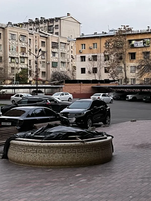 Сухая аренда жентра коболт трекер 1-2