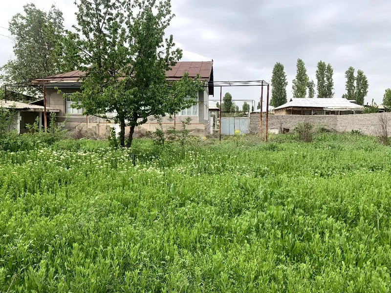 Участка своя прадаюу Янгибазаре. 1 Участка своя прадаюу Янгибазаре. 1