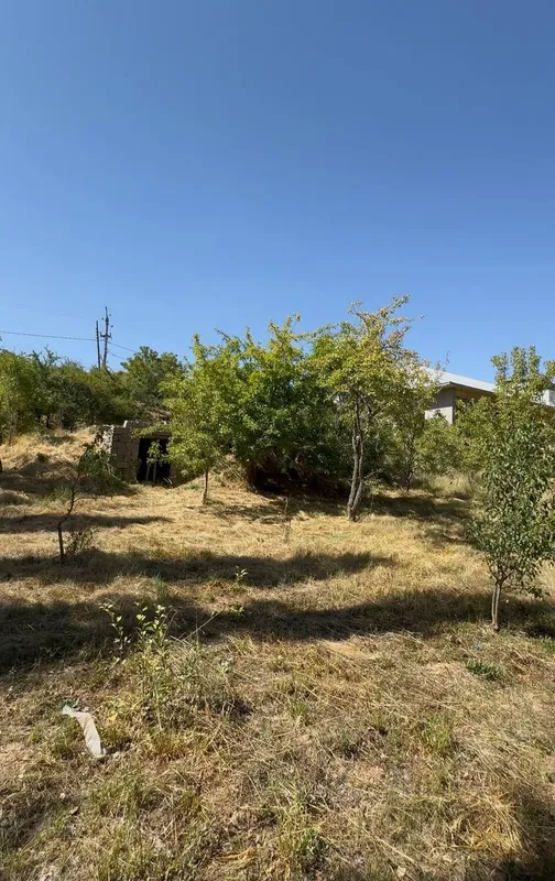 Sijjakda uchaska yer narxida sotiladi 8 sotik beznis uchun yaxshi joy — фото 2
