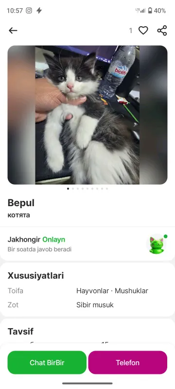 mushuk