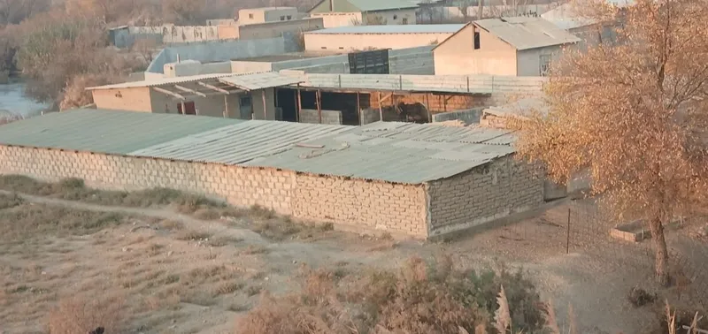 Dacha sotiladi Navoiy viloyati Karmana tumani yangi gres yonida 2 Dacha sotiladi Navoiy viloyati Karmana tumani yangi gres yonida 2