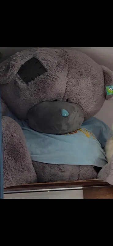 Тедди Мишка teddy Тедди Мишка teddy