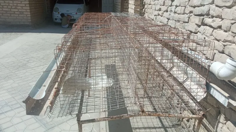 Товук катаклари сотилади.500талик