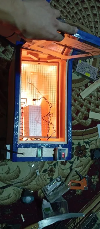 Inkubator inkubatir 50talik
