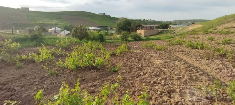 Yer sotiladi srochna 3 Yer sotiladi srochna 3