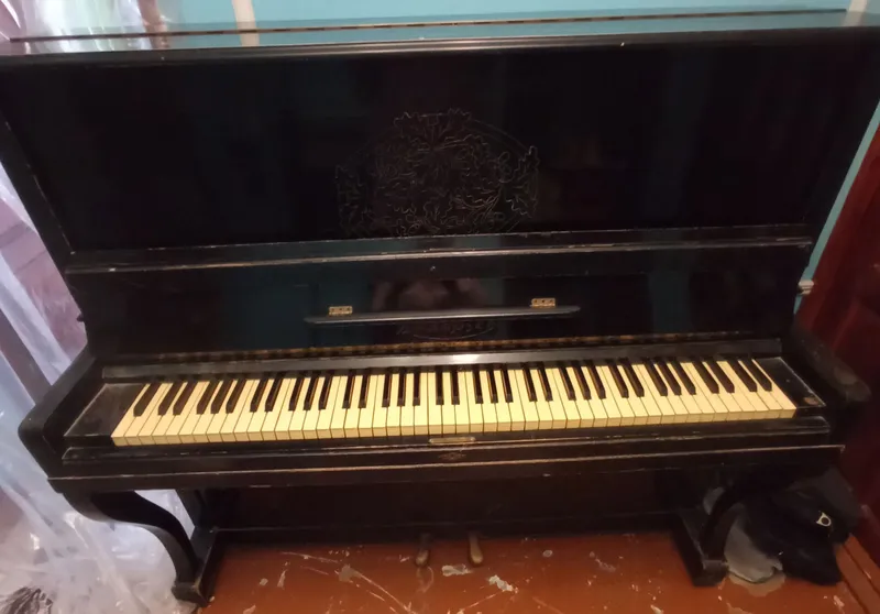 pianino shoshilinch sotaman 3